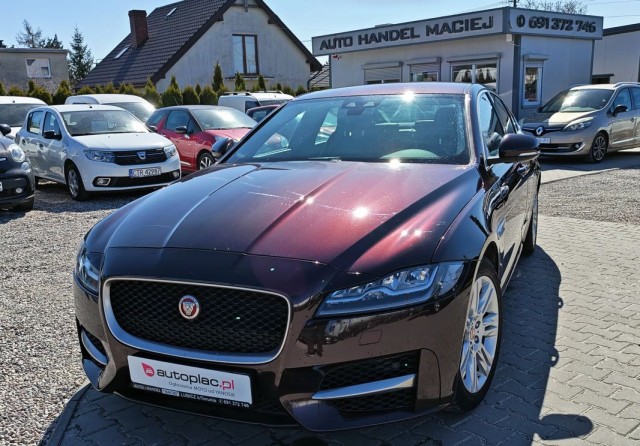 jaguar