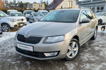 świeżo sprowadzona, zarejestrowana