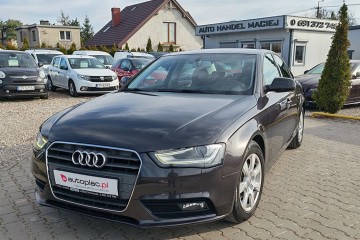 świeżo sprowadzone, zarejestrowane