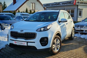 świeżo sprowadzone, przygotowane do rejestracji