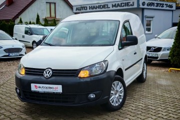 świeżo sprowadzony, zarejestrowany