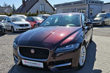 sprowadzone, zarejestrowane